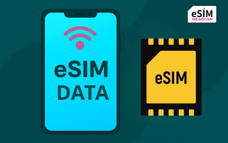 eSIM chỉ có dữ liệu hay eSIM có số điện thoại phù hợp tùy nhu cầu kết nối thực tế